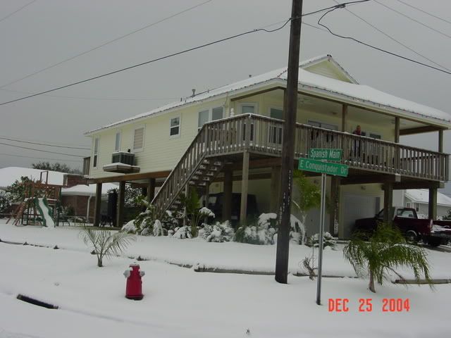 DSC03887.jpg
