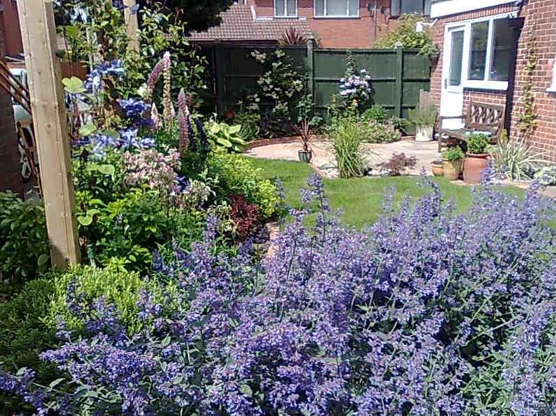 View across garden