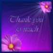 Thank you tag Pictures, Images and Photos