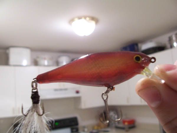 FishStuff038.jpg