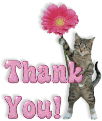 Cat Thank You