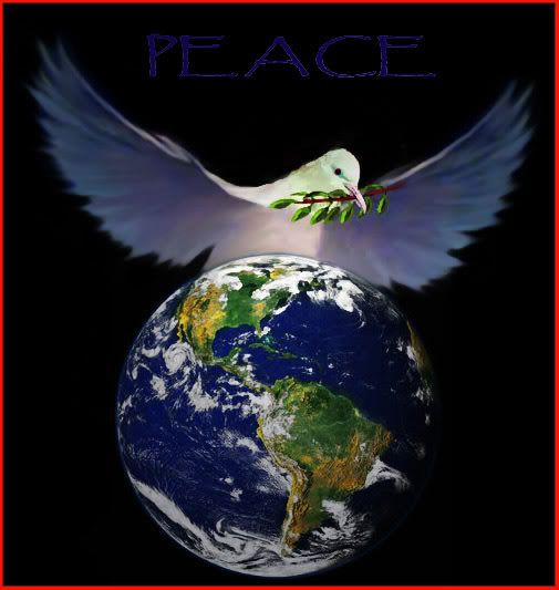 Dove of Peace Pictures, Images and Photos