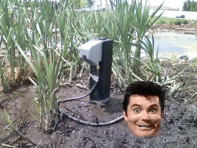 In-UseCover1.jpg