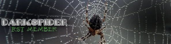 spider.jpg