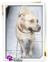 DEXTER