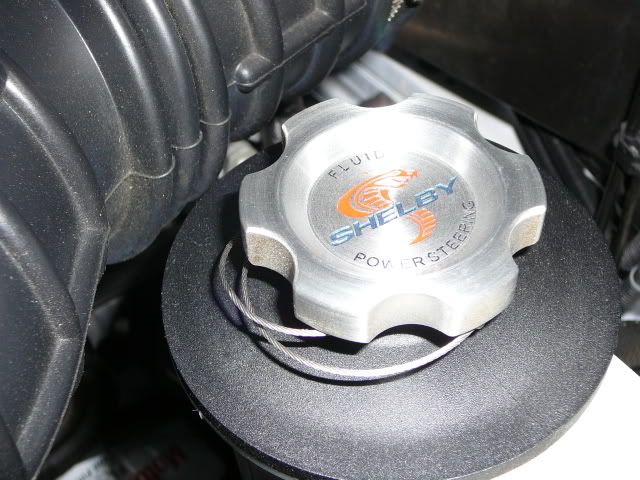 P1010239.jpg