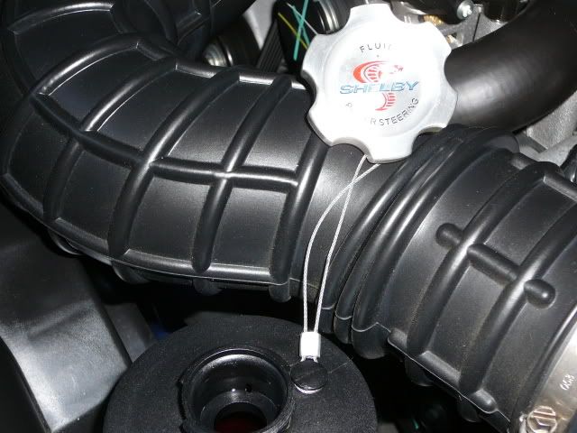 P1010240.jpg