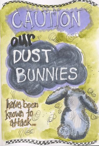 Dust Bunnies Pictures, Images and Photos