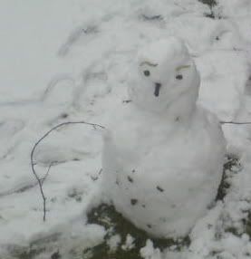 [Image: snowman.jpg]
