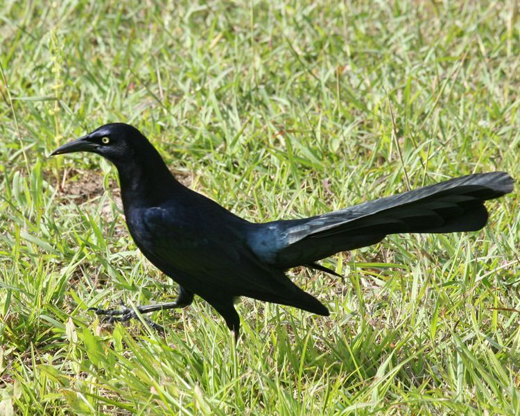  photo 7C8A82D9-864D-4695-8676-78EBF96A4574.jpeg