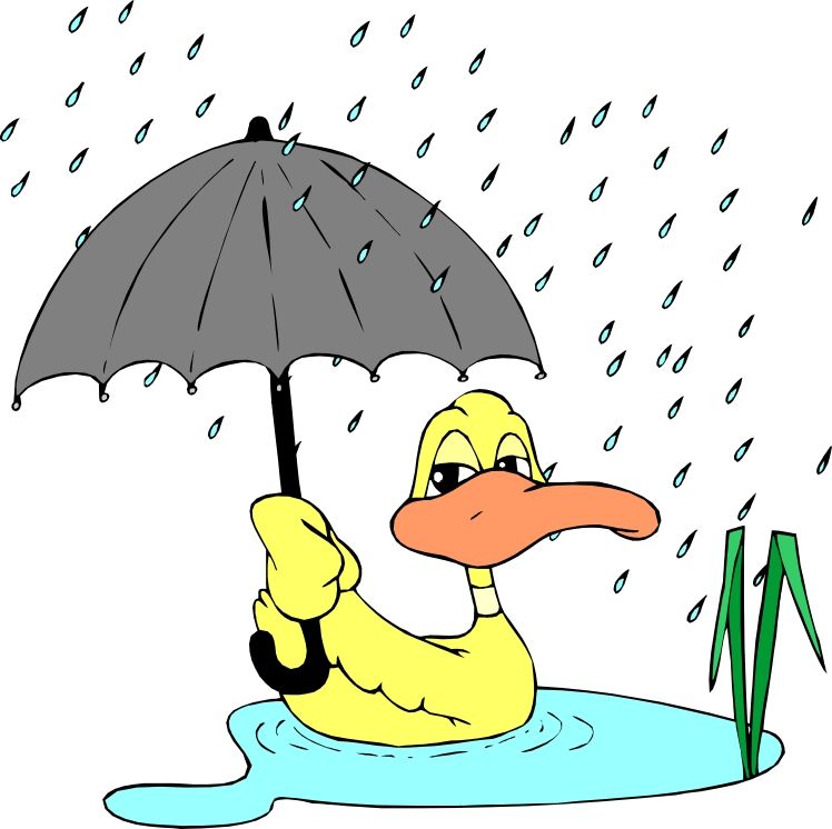  photo umbrella_1.jpg