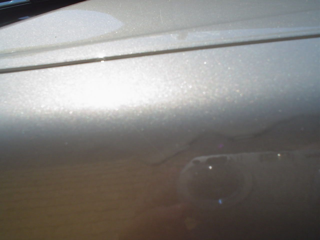 DSC02475.jpg