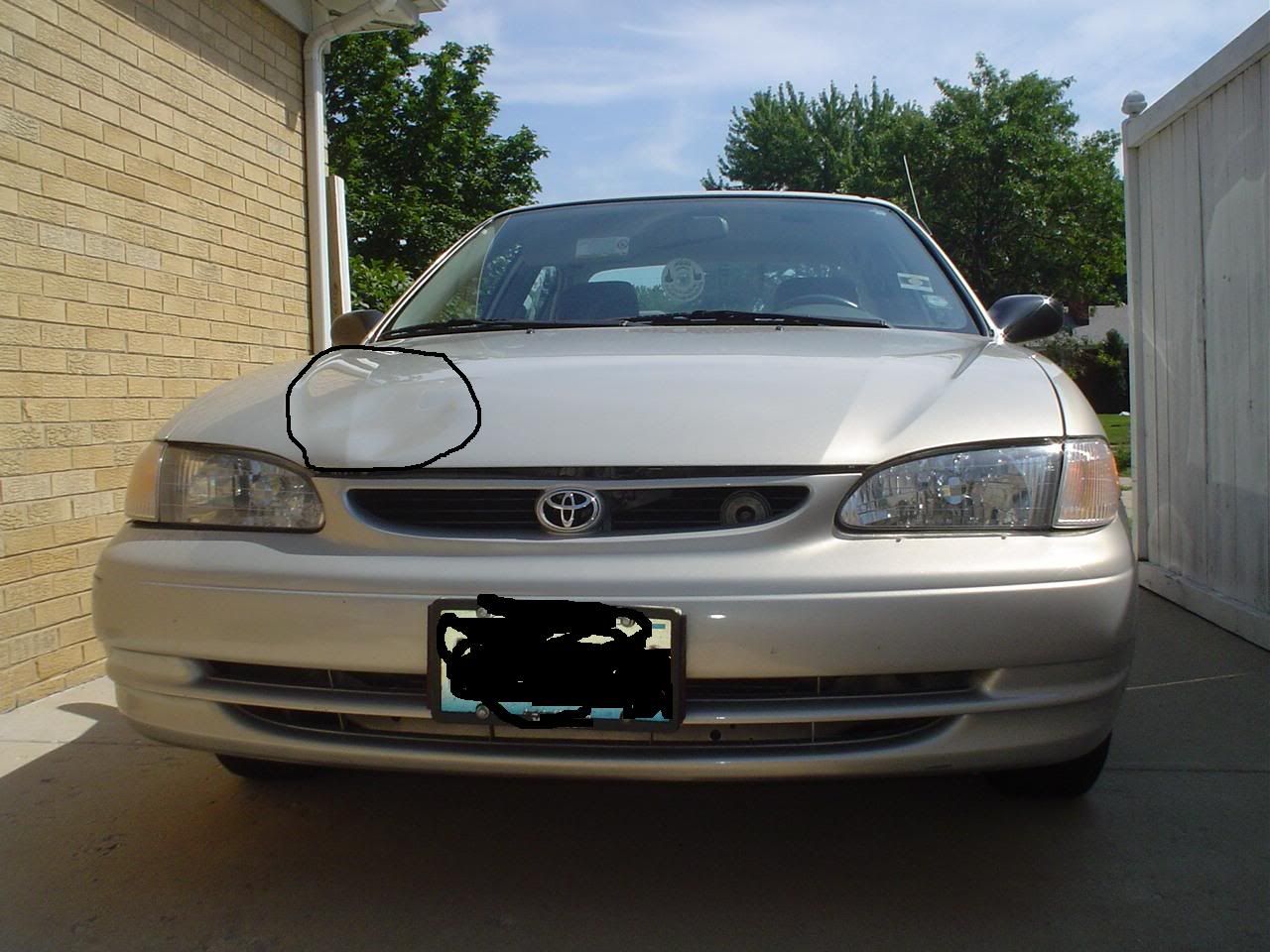 Dent.jpg