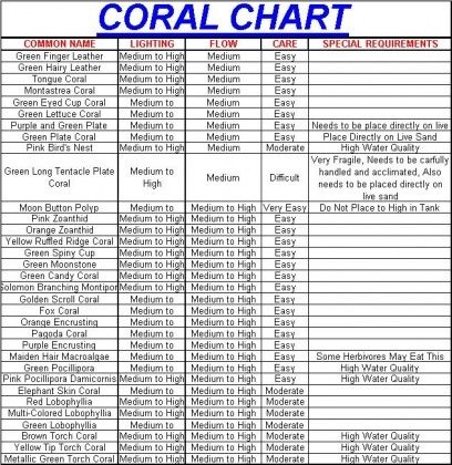 Coral Care Chart