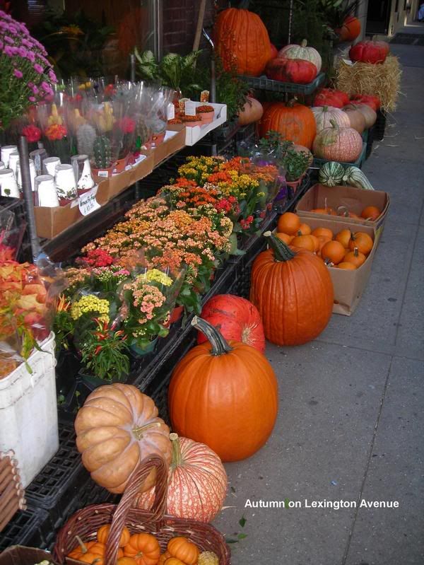 Autumn along Lex Avenue