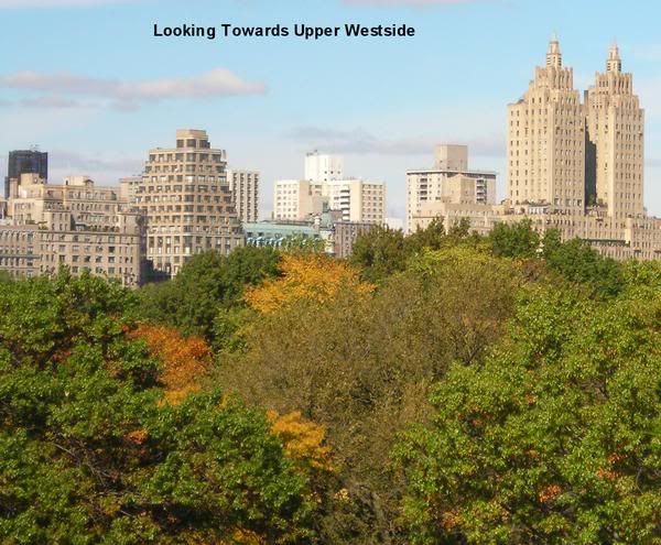 Views of Central Park at MoMA