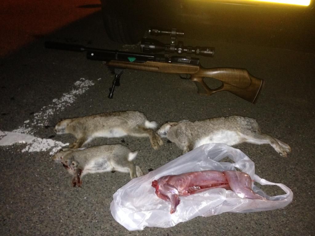 66700336-B24A-4398-B291-C2EA1D832214_zps