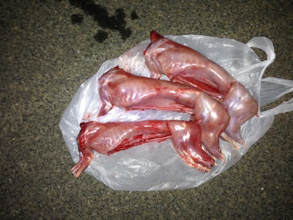 A462BFE2-0FEB-46FE-94BF-9734CF4044AE_zps