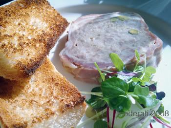 canard al al terrine