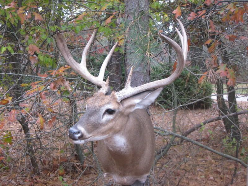 Recently Completed South Jersey Deer New Jersey Hunters