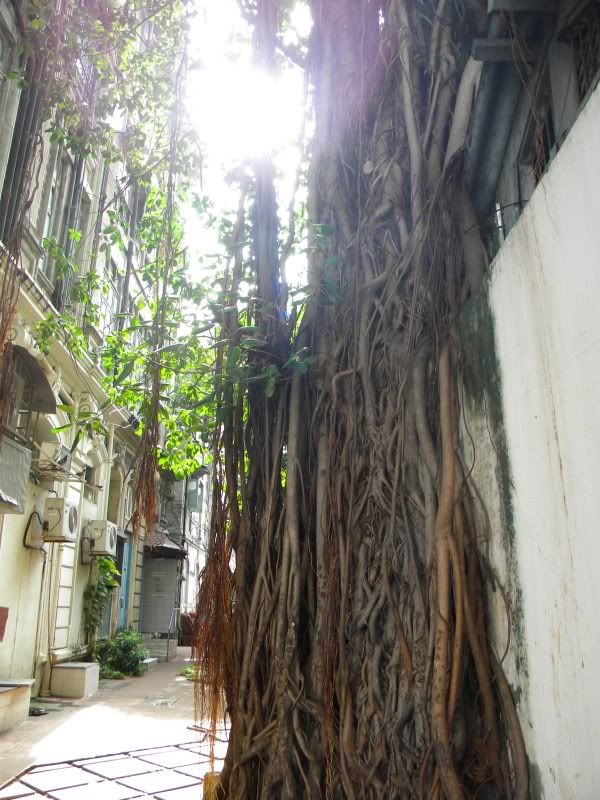DSCN0161.jpg