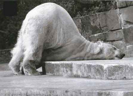 exhausted.jpg