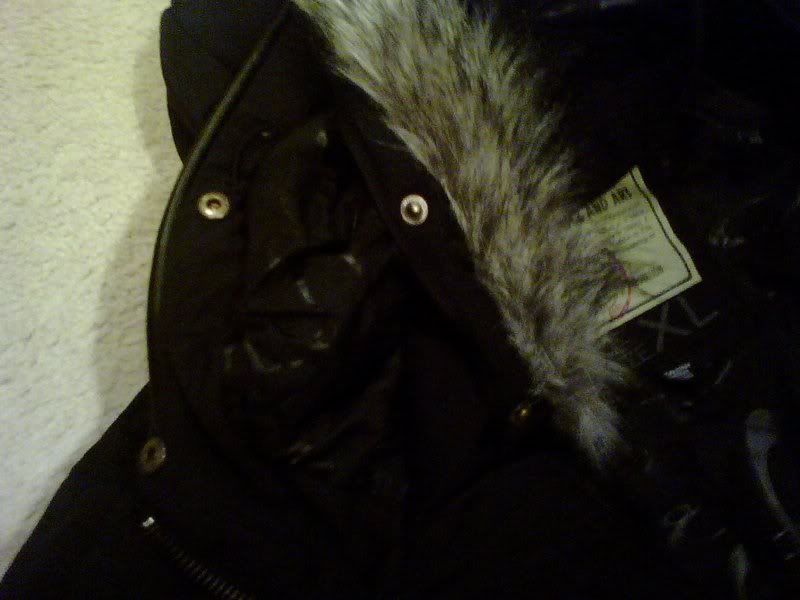 hood.jpg