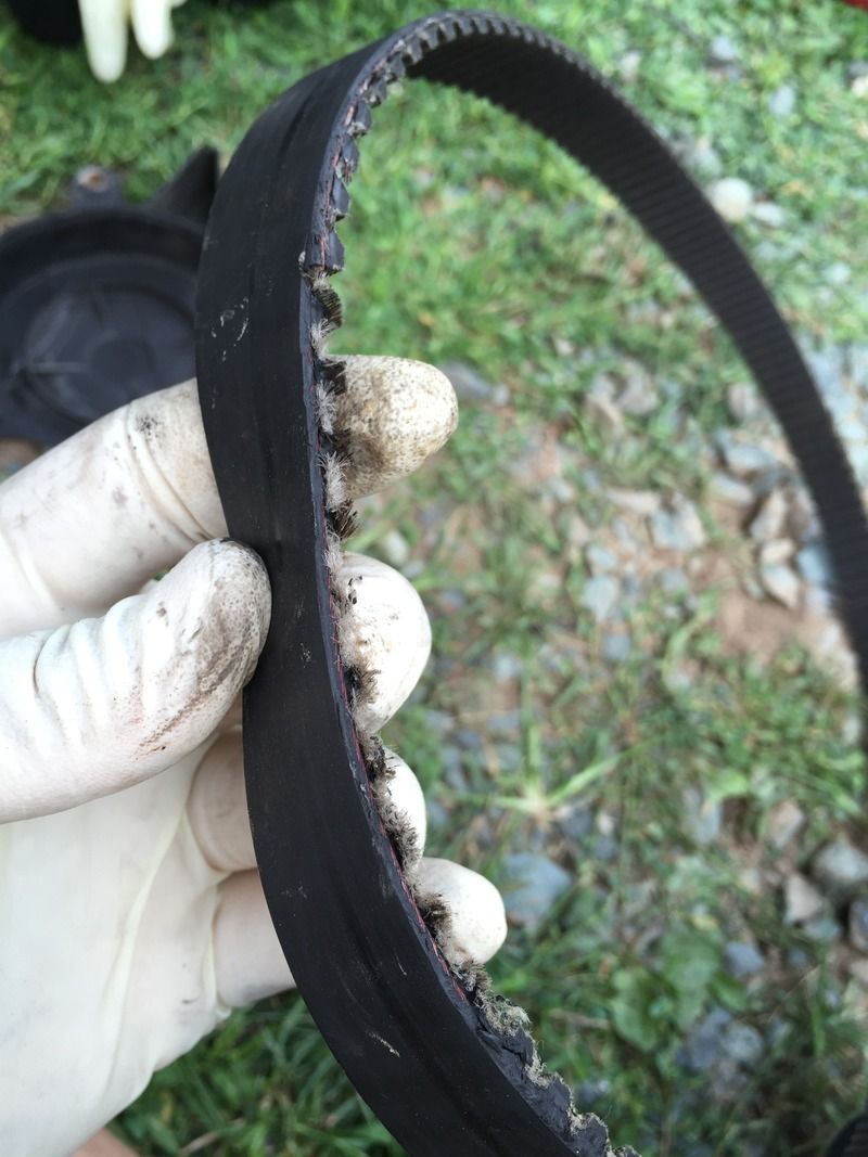 Help! Timing belt walking off 1.6td VW Vortex Volkswagen Forum