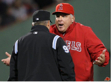 Mike Scioscia confused