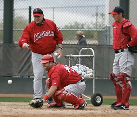 Scioscia instructing