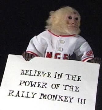 rally monkey