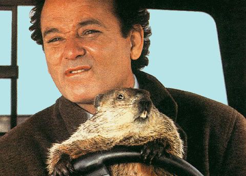 Groundhog Day