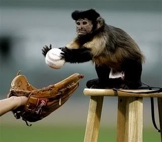 monkey baseball