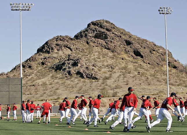 Angels spring training