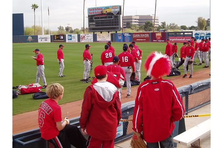 Angels spring training