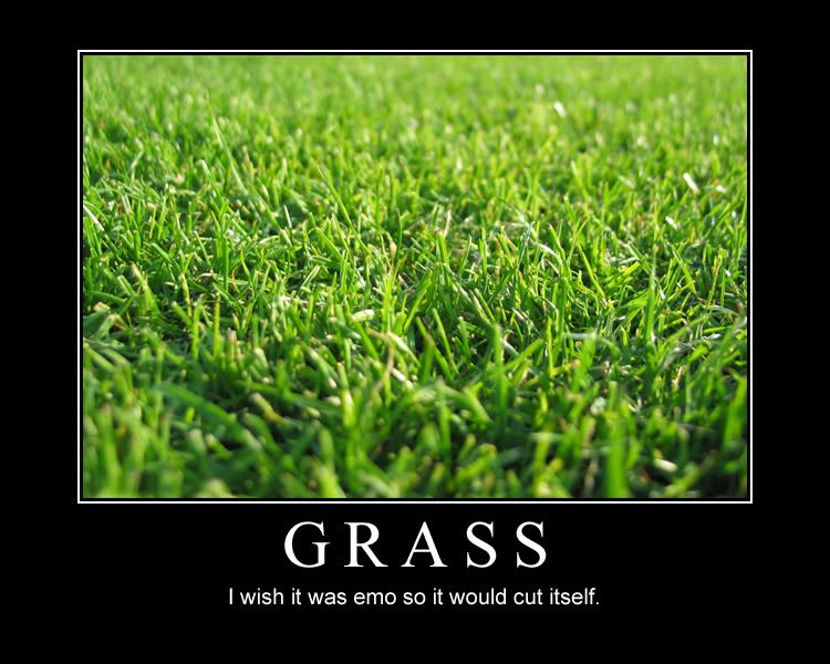 grass_2.jpg