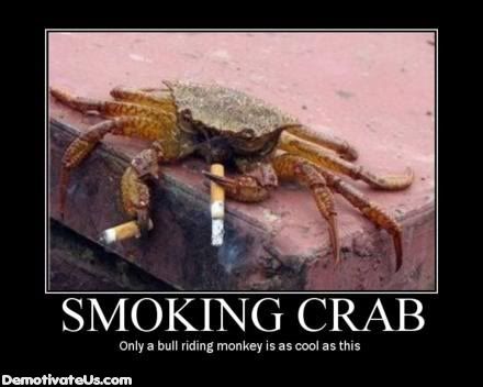 smoking-crab-bull-riding-monkey-dem.jpg