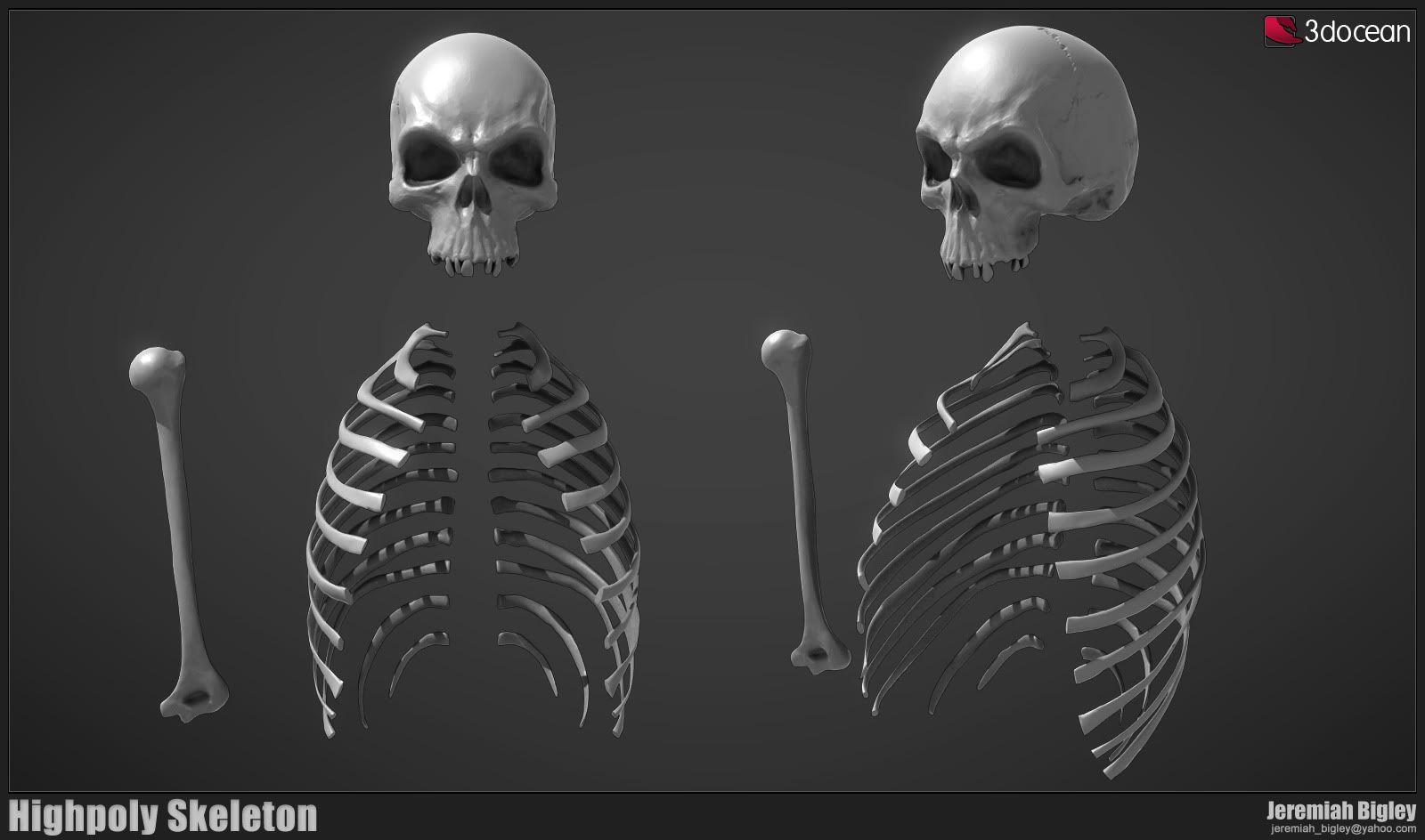 31_Skeleton.jpg