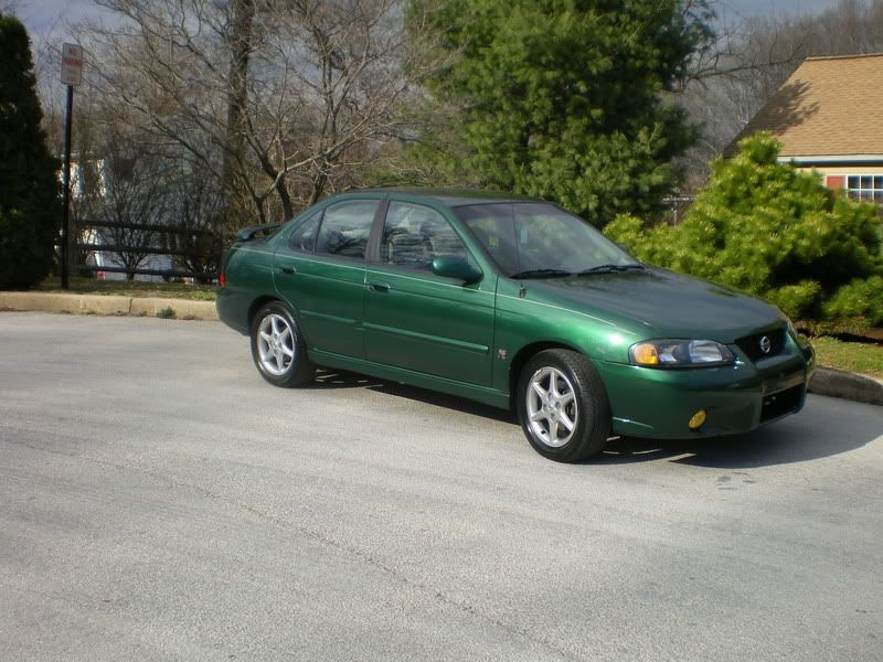 IMGP0204.jpg