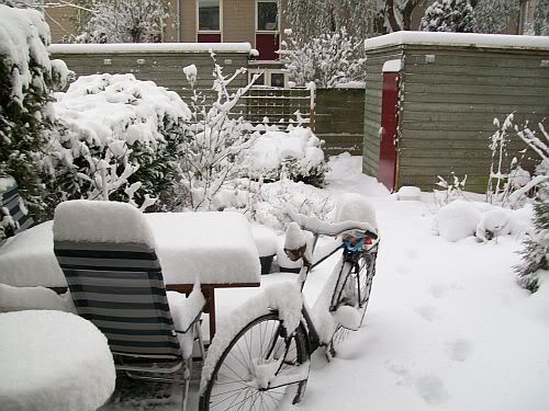 Snowy garden