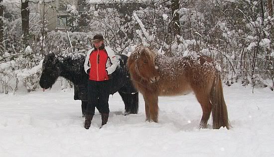 Snowy Jónas, Imre & Kveld