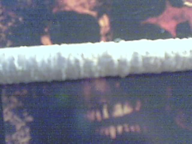 Picture27.jpg
