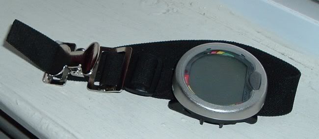 adjustableelasticstrap3.jpg