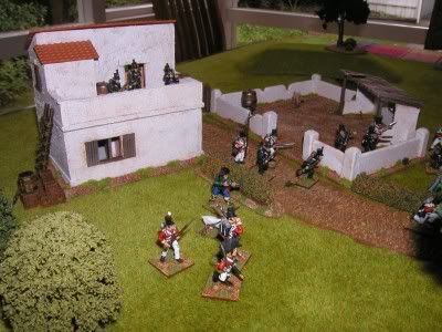 Napoleonic Skirmish Napoleonic Skirmish