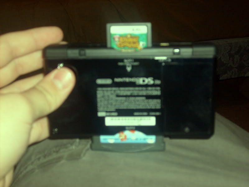 my DS lite and Animal Crsossing