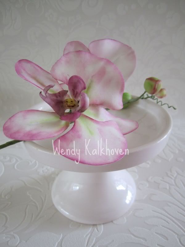 http://i95.photobucket.com/albums/l148/wendelien/suikerorchideemaandag30mei025metnaamwatermerk.jpg