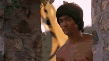 approves gifs photo: Bruce Lee Approves BRUCE-LEE-APPROVES-GIF.gif