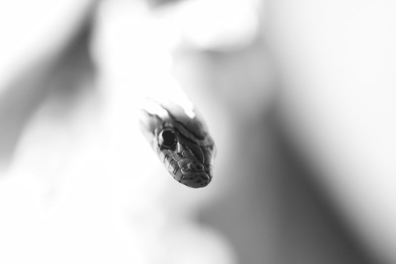 macrolense008.jpg