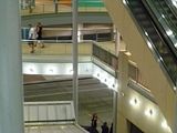 th_P1010560.jpg
