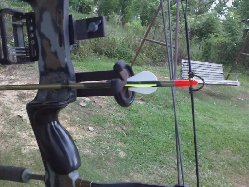 Whisker Biscuit Archery Talk Forum